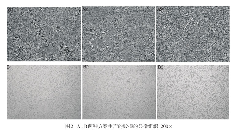 A 、B兩種方案生產(chǎn)的鍛棒的顯微組織